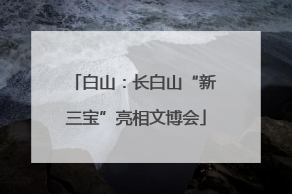 白山：长白山“新三宝”亮相文博会