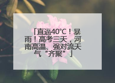 直逼40℃！暴雨！高考三天，河南高温、强对流天气“齐聚”