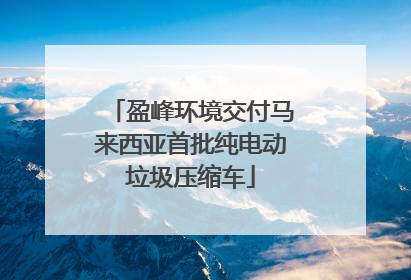 盈峰环境交付马来西亚首批纯电动垃圾压缩车
