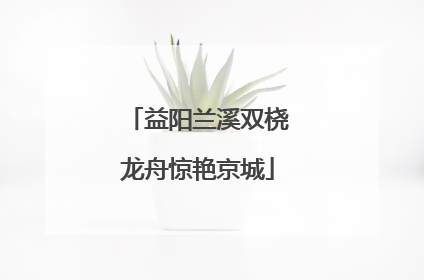 益阳兰溪双桡龙舟惊艳京城