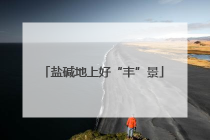 盐碱地上好“丰”景