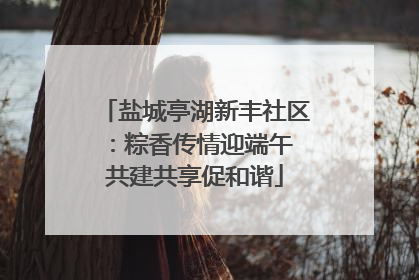 盐城亭湖新丰社区：粽香传情迎端午 共建共享促和谐