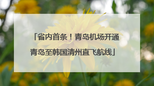 省内首条！青岛机场开通青岛至韩国清州直飞航线