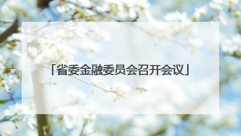省委金融委员会召开会议