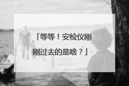 等等！安检仪刚刚过去的是啥？