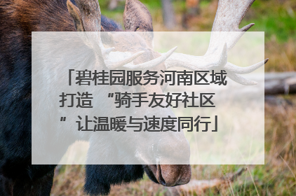 碧桂园服务河南区域打造 “骑手友好社区”让温暖与速度同行