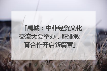 禹城：中菲经贸文化交流大会举办，职业教育合作开启新篇章