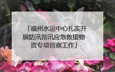 福州水运中心扎实开展防汛备汛应急救援物资专项督察工作