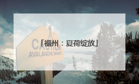 福州：夏荷绽放