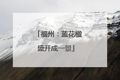 福州：蓝花楹盛开成一景