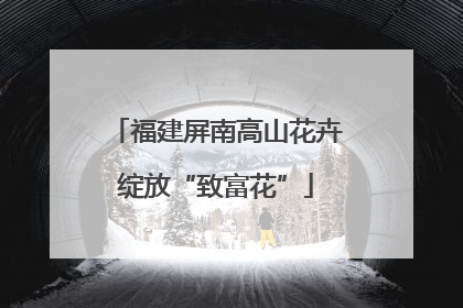 福建屏南高山花卉绽放“致富花”