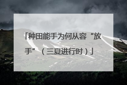 种田能手为何从容“放手”（三夏进行时）