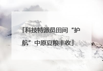 科技特派员田间“护航”中原夏粮丰收