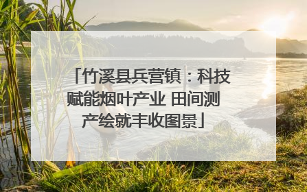 竹溪县兵营镇：科技赋能烟叶产业 田间测产绘就丰收图景