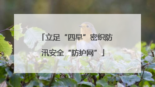 立足“四早”密织防汛安全“防护网”