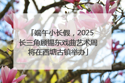端午小长假，2025长三角顾锡东戏曲艺术周将在西塘古镇举办