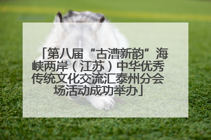 第八届“古漕新韵”海峡两岸（江苏）中华优秀传统文化交流汇泰州分会场活动成功举办