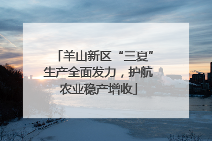 羊山新区“三夏”生产全面发力，护航农业稳产增收