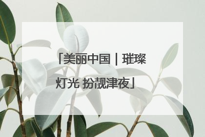 美丽中国｜璀璨灯光 扮靓津夜
