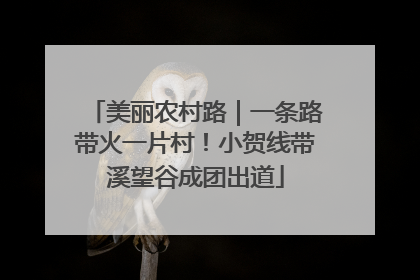 美丽农村路｜一条路带火一片村！小贺线带溪望谷成团出道