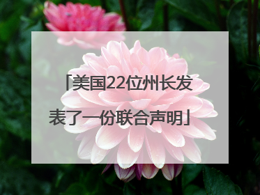 美国22位州长发表了一份联合声明