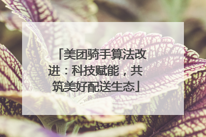 美团骑手算法改进：科技赋能，共筑美好配送生态