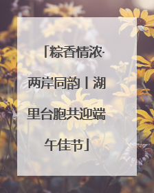 粽香情浓·两岸同韵丨湖里台胞共迎端午佳节