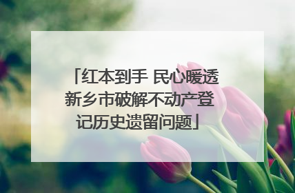 红本到手 民心暖透 新乡市破解不动产登记历史遗留问题