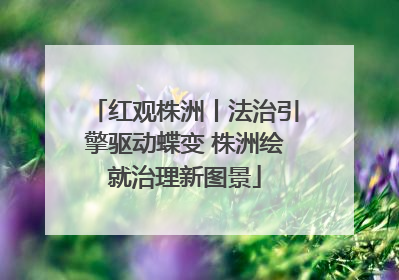 红观株洲丨法治引擎驱动蝶变 株洲绘就治理新图景