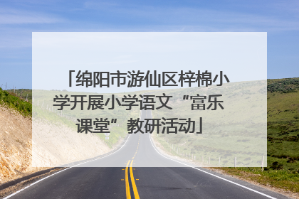 绵阳市游仙区梓棉小学开展小学语文“富乐课堂”教研活动