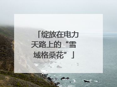 绽放在电力天路上的“雪域格桑花”