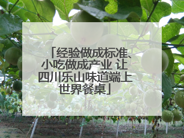 经验做成标准、小吃做成产业 让四川乐山味道端上世界餐桌