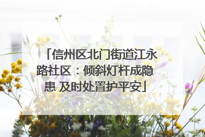 信州区北门街道江永路社区：倾斜灯杆成隐患 及时处置护平安