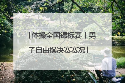 体操全国锦标赛丨男子自由操决赛赛况