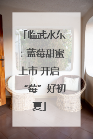临武水东：蓝莓甜蜜上市 开启“莓”好初夏