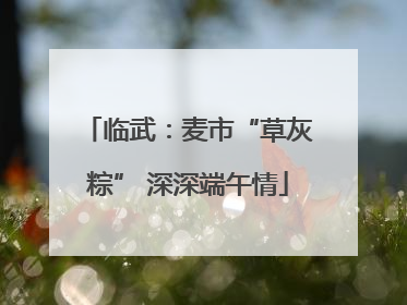 临武：麦市“草灰粽” 深深端午情