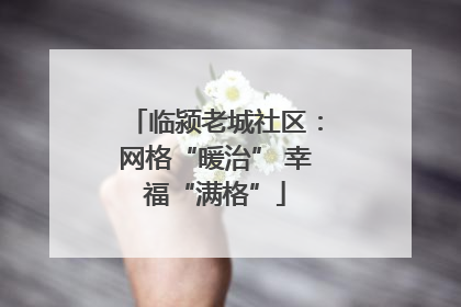 临颍老城社区：网格“暖治” 幸福“满格”
