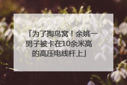 为了掏鸟窝！余姚一男子被卡在10余米高的高压电线杆上