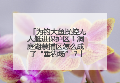 为钓大鱼操控无人艇进保护区！洞庭湖禁捕区怎么成了“垂钓场”？