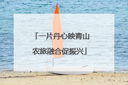 一片丹心映青山 农旅融合促振兴