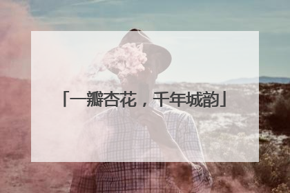 一瓣杏花，千年城韵