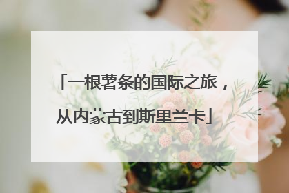 一根薯条的国际之旅，从内蒙古到斯里兰卡
