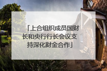 上合组织成员国财长和央行行长会议支持深化财金合作