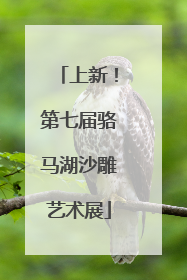 上新！第七届骆马湖沙雕艺术展