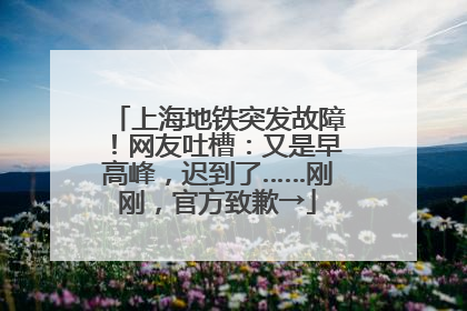 上海地铁突发故障！网友吐槽：又是早高峰，迟到了……刚刚，官方致歉→