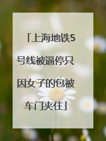 上海地铁5号线被逼停只因女子的包被车门夹住