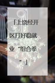 上饶经开区打好稳就业“组合拳”