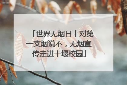 世界无烟日丨对第一支烟说不，无烟宣传走进十堰校园