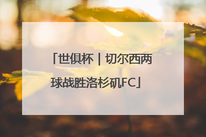 世俱杯｜切尔西两球战胜洛杉矶FC