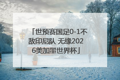 世预赛国足0-1不敌印尼队 无缘2026美加墨世界杯